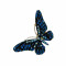 گل سینه بلو بِلِند BLUE BELL کد VL030